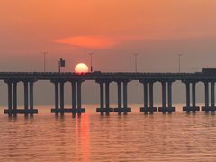 -宝安西湾红树林湿地公园