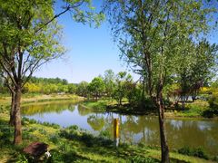 -东郊湿地公园