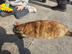 -鸡鸣赐茶(鸡鸣寺路店)