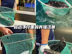 -鱼酷活鱼烤鱼(恒隆广场店)