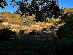 -杨家堂村