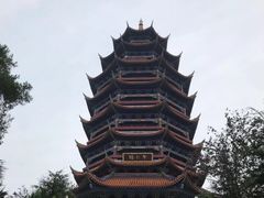 -铁山坪森林公园