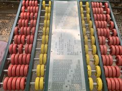 -大兴滨河森林公园