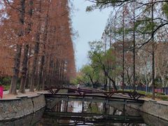 -同济大学-北苑食堂