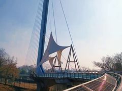 -合肥野生动物园