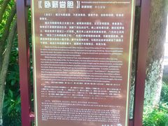 -白马涧龙池景区