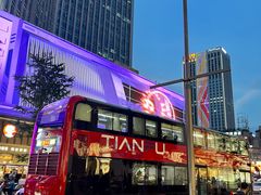 -龙抄手(春熙路总店)