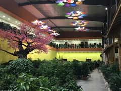 -君临七星生态酒店