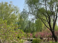-燕郊植物园