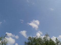 android_upload_pic-府山公园