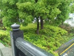 -美兰湖景区