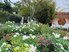-龙华寺