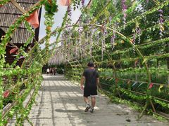 -西青郊野公园