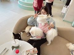 -怪兽屋·羊驼·猫咖·狗咖(俊华广场店)