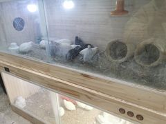 -MOJO密室逃脱(中街旗舰店)