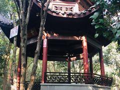 -杭州半山国家森林公园