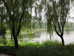 -北坞公园