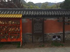 -阳台山自然风景区