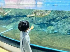 -福州罗源湾海洋世界旅游区