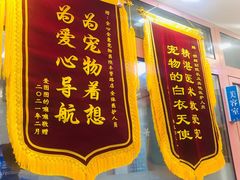 -全心全意连锁动物医院·微创中心·内科急重症·心脏专科(丰管路店)