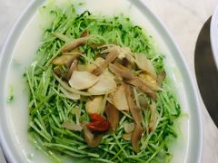 -石头咕(葵蓬店)