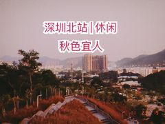 -白石龙音乐公园