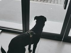 -中农大我爱我爱动物医院·核磁CT·猫病·24小时夜诊中心(石佛营店)