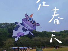 -苏州上方山国家森林公园