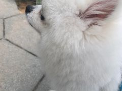 -五通灯塔公园