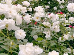 -人民公园(罗湖区)