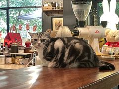 -咖法森林·咖啡  酒吧(天河店)