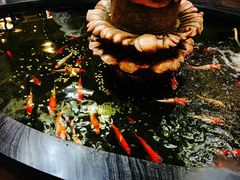 -裕丰源滋补烩面(天赋路店)