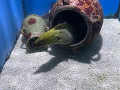 -大连老虎滩海洋公园