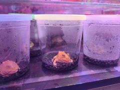 -三旗百汇商品城