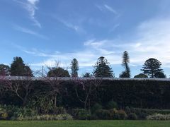 -斐兹洛伊花园