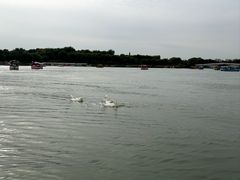 -中家鑫园温泉酒店鑫悦汤泉