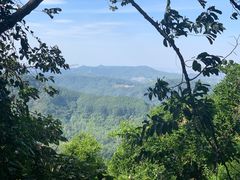 -黄埔油麻山森林公园