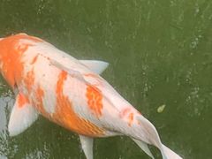 -三里河公园