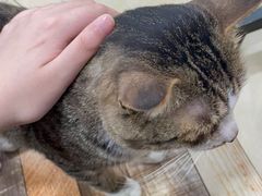 -玉椰林甜品店(创始店)