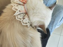 -怪兽屋·羊驼·猫咖·狗咖(俊华广场店)