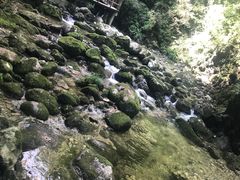 -牛背梁国家森林公园