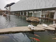 -罗红摄影艺术馆