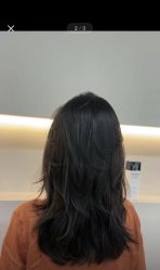 -蚂蚁造型沙龙