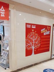 -碧莲盛·不剃发植发