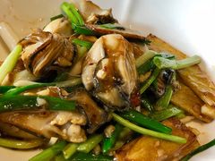 -顺德了能馆(虎门店)