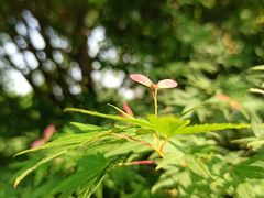 -共青国家森林公园-南大门停车场