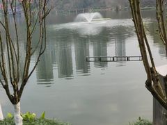 -重庆彩云湖湿地公园