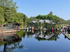 -深圳仙湖植物园