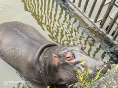-海南热带野生动植物园