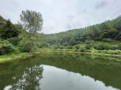 -九龙潭景区